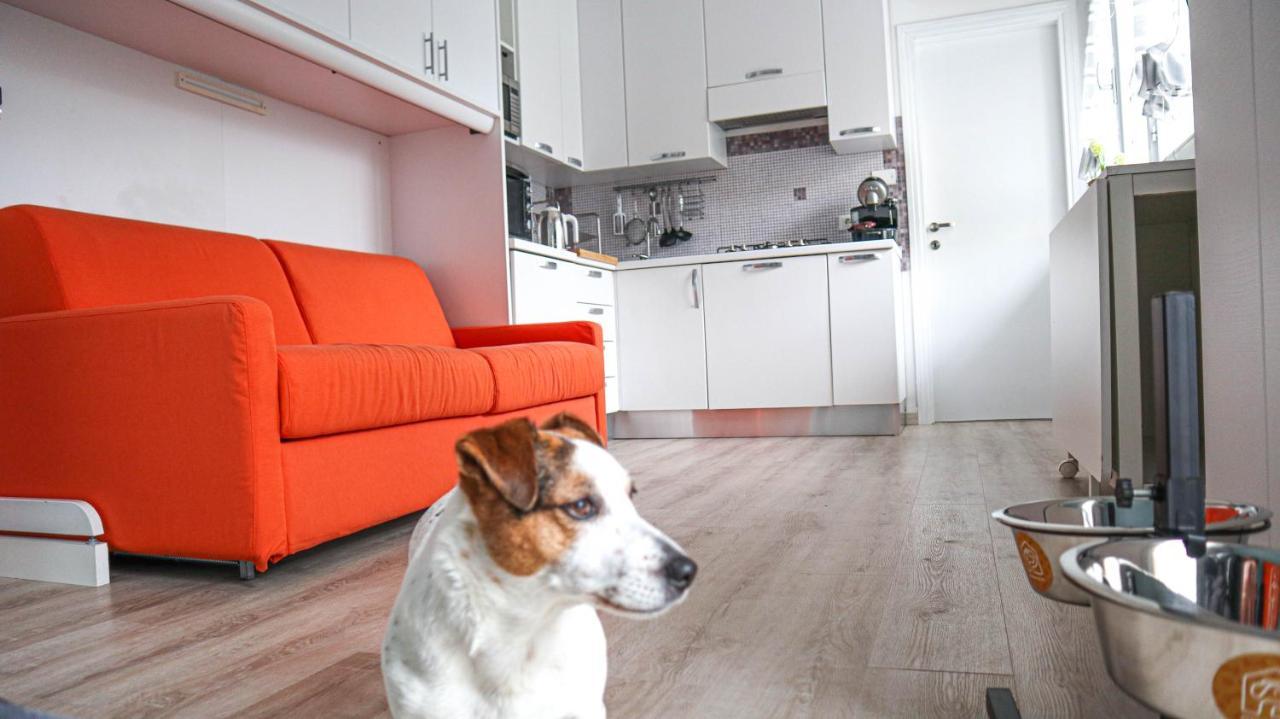 La Casa Di Pamy Daire Bellaria-Igea Marina Dış mekan fotoğraf