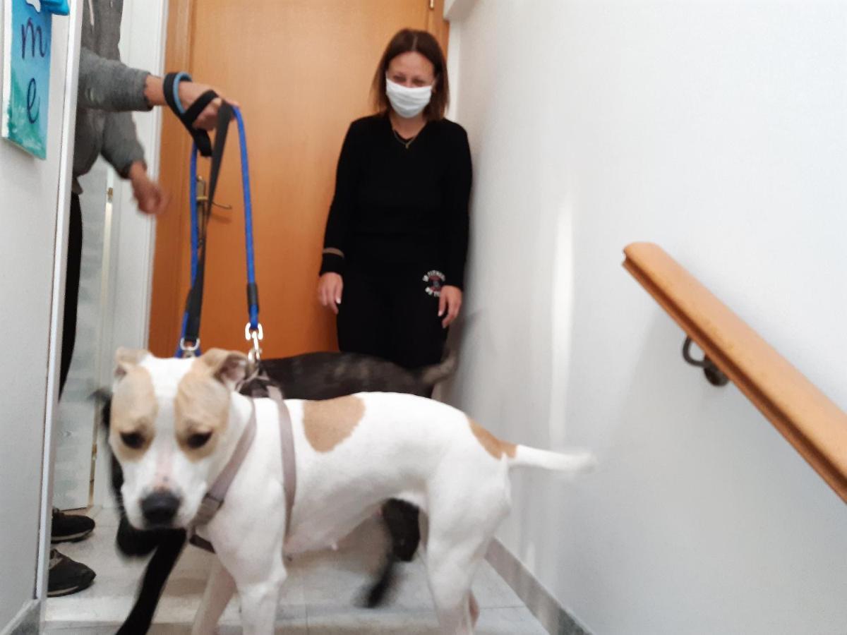 La Casa Di Pamy Daire Bellaria-Igea Marina Dış mekan fotoğraf
