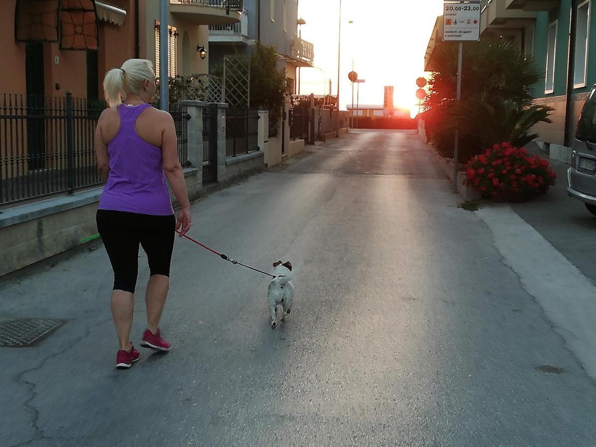 La Casa Di Pamy Daire Bellaria-Igea Marina Dış mekan fotoğraf