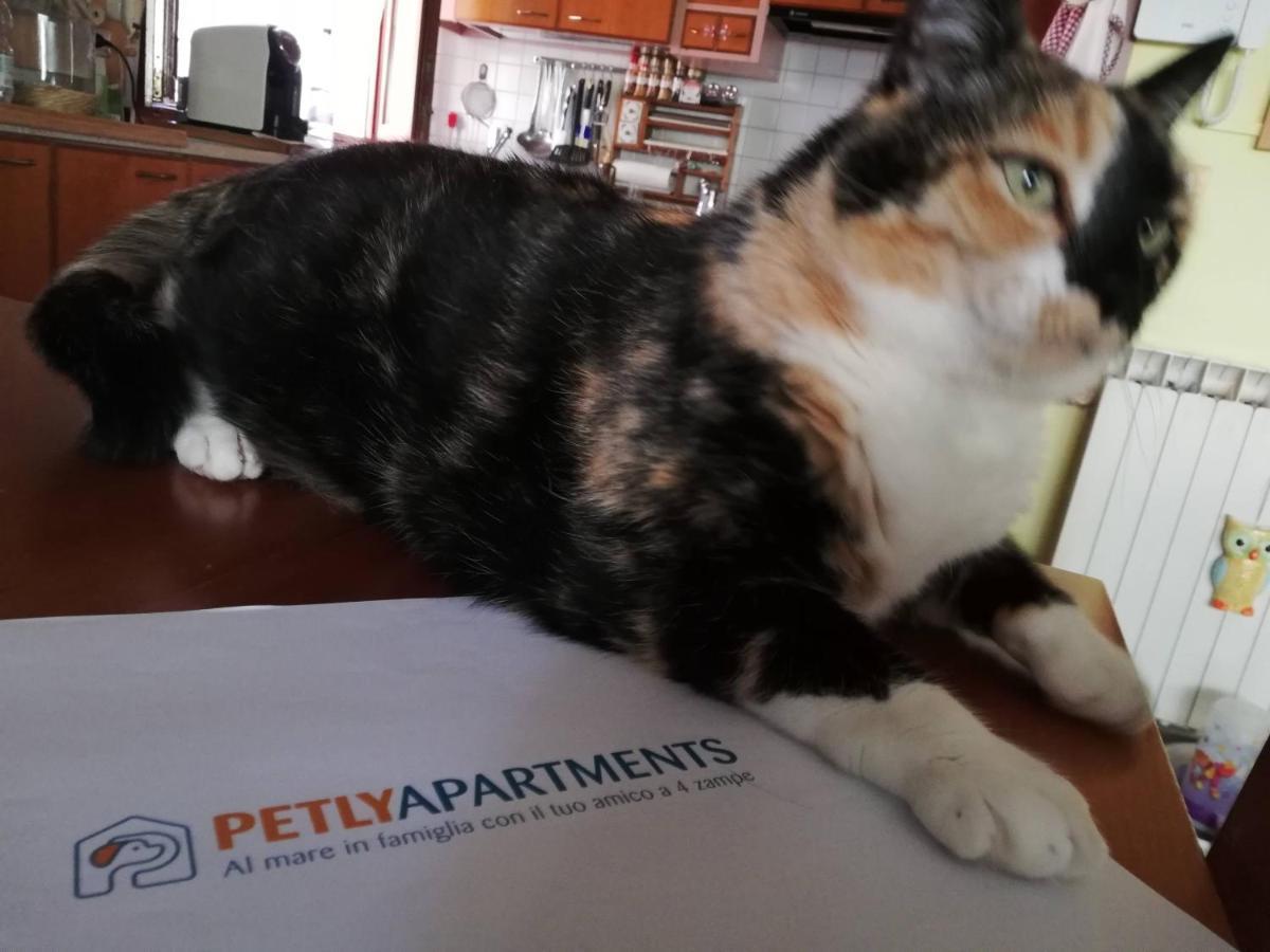 La Casa Di Pamy Daire Bellaria-Igea Marina Dış mekan fotoğraf