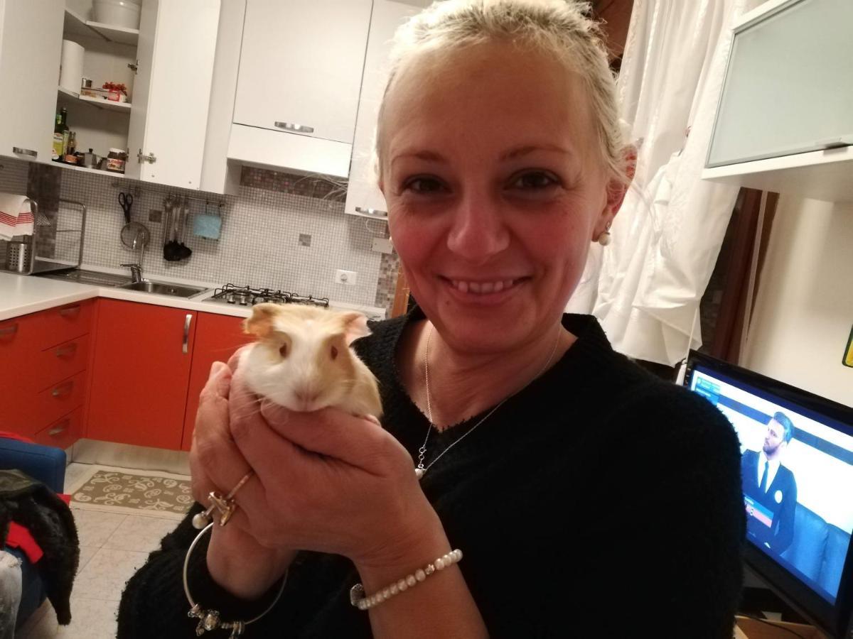 La Casa Di Pamy Daire Bellaria-Igea Marina Dış mekan fotoğraf