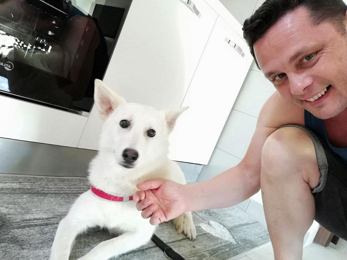 La Casa Di Pamy Daire Bellaria-Igea Marina Dış mekan fotoğraf